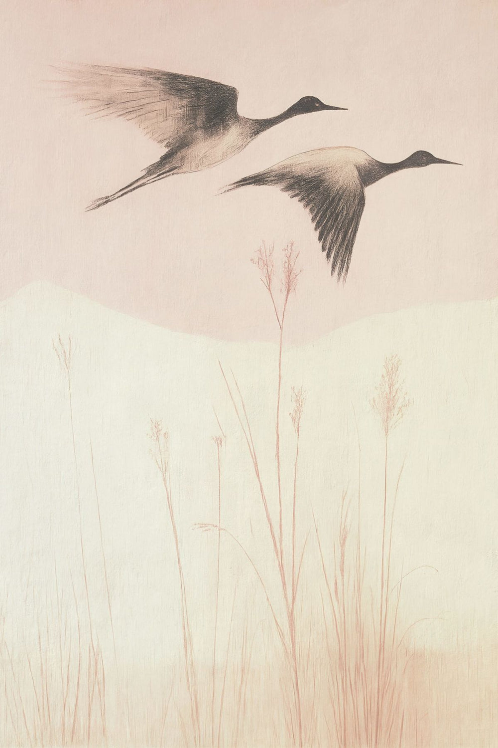 Pair Of Japanese Cranes