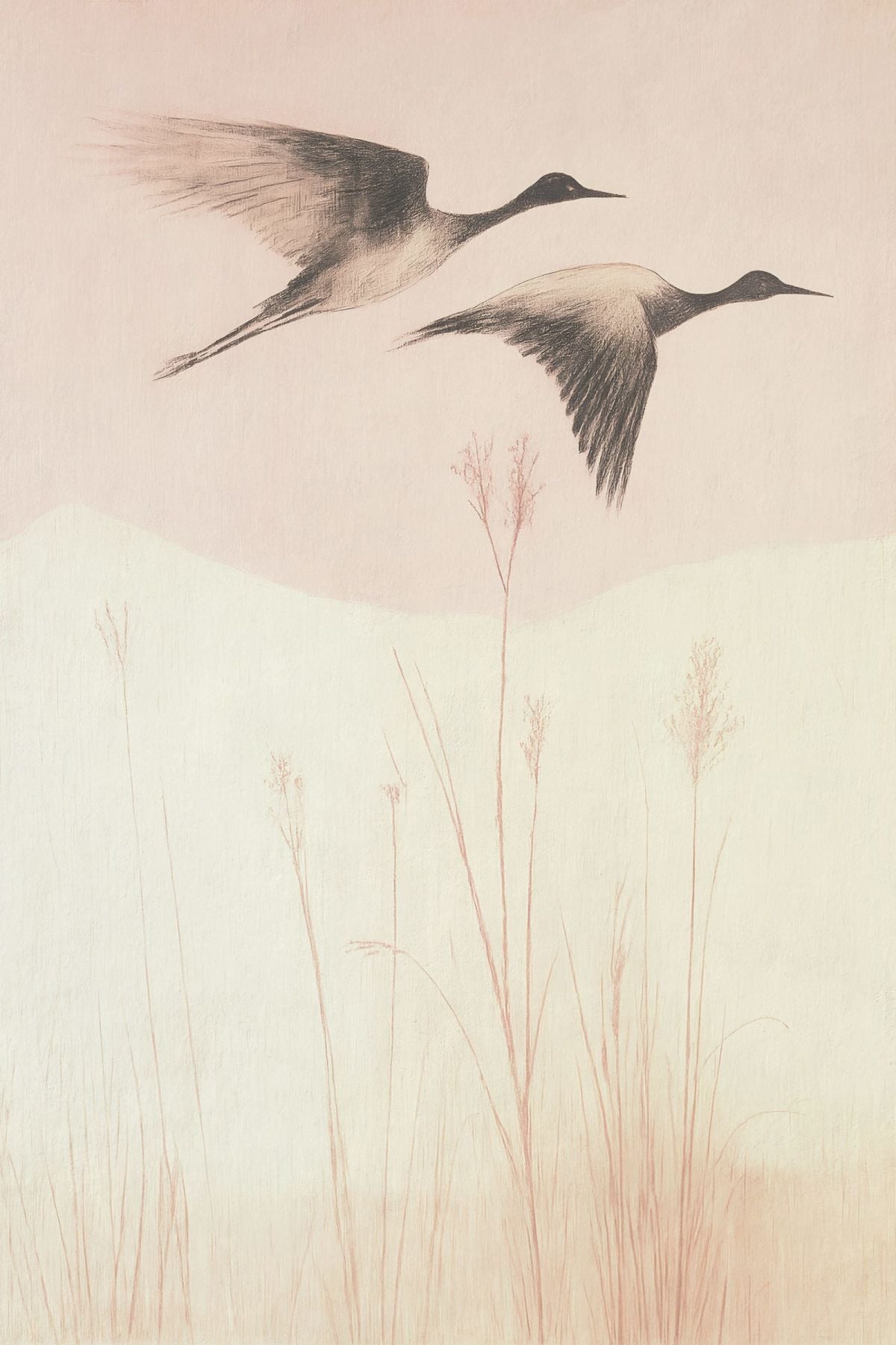 Pair Of Japanese Cranes