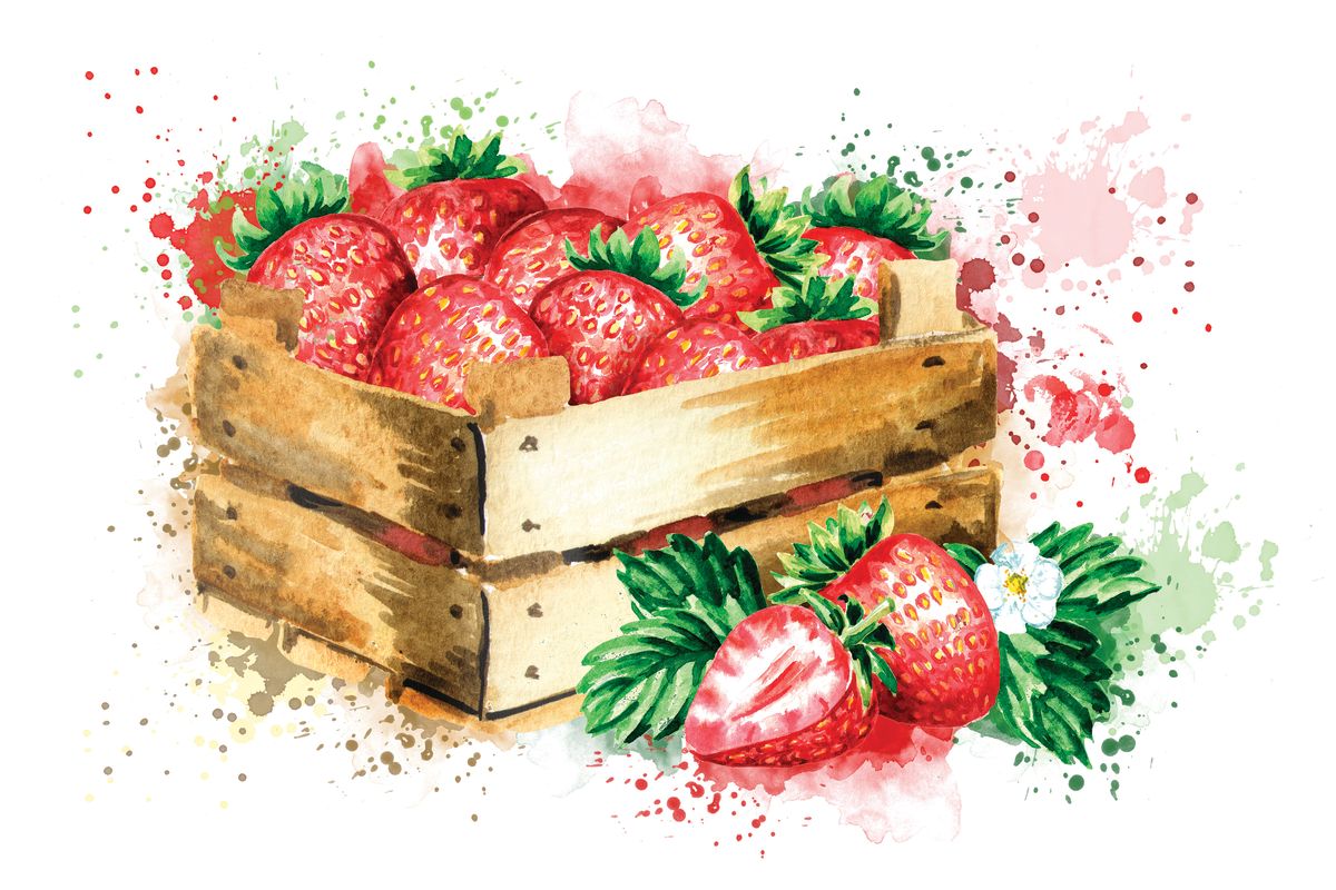 Strawberry Harvest Splash