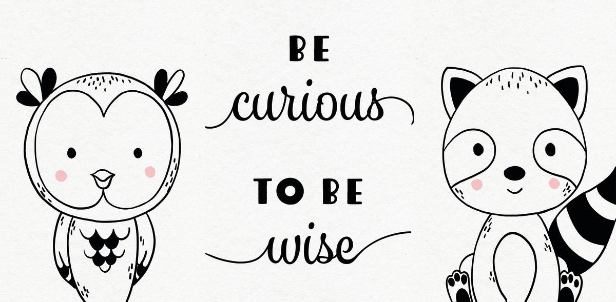 Be Curious To Be Wise