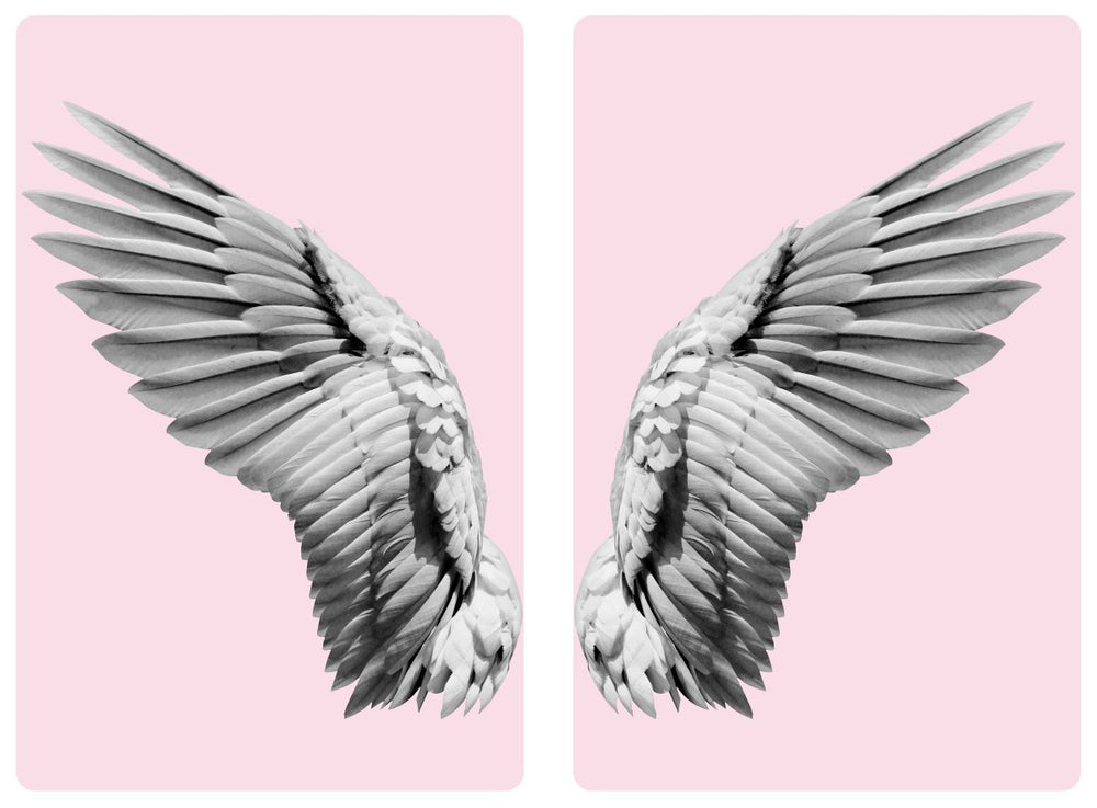 Bird Wings Monochrome