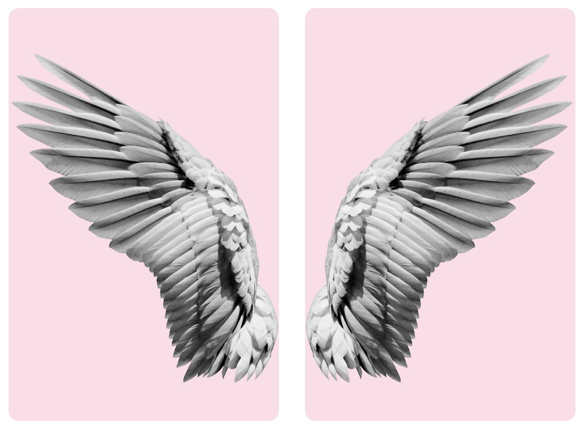 Bird Wings Monochrome
