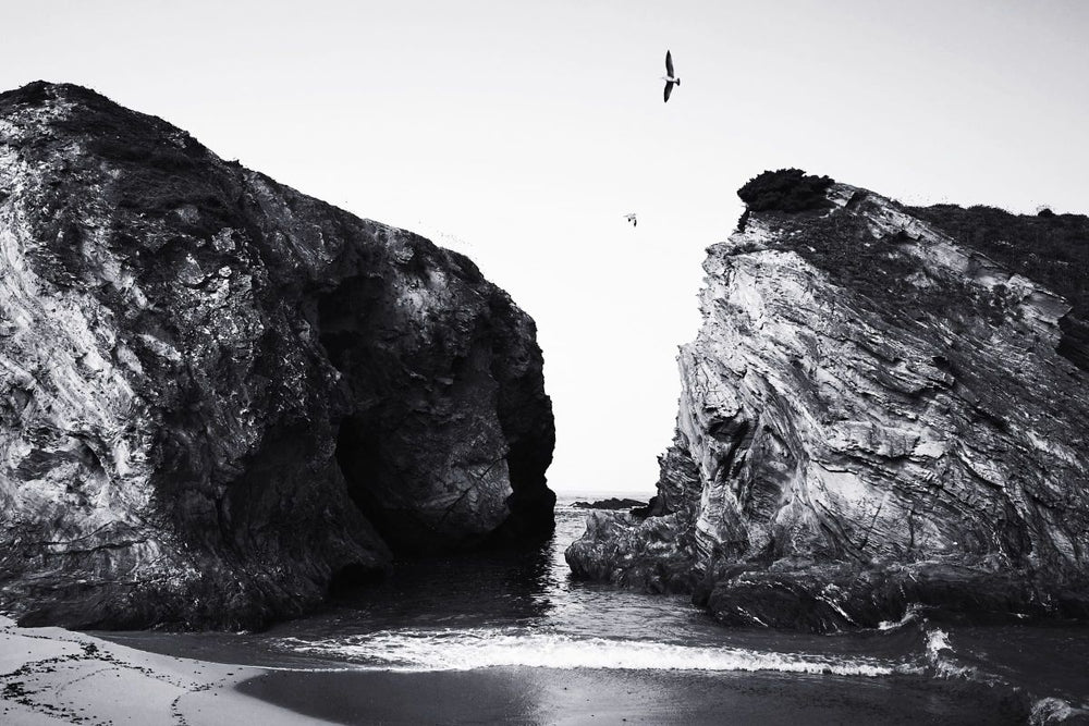 Birds In Between Cliffs