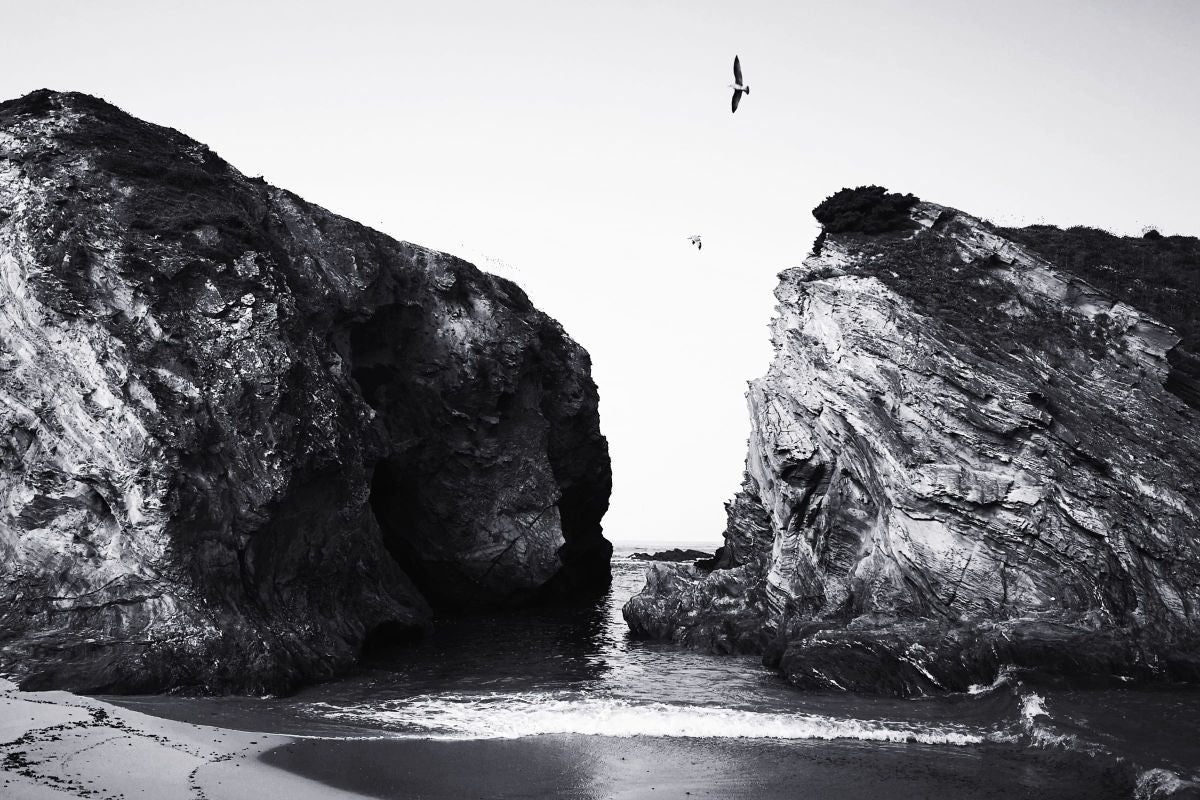 Birds In Between Cliffs