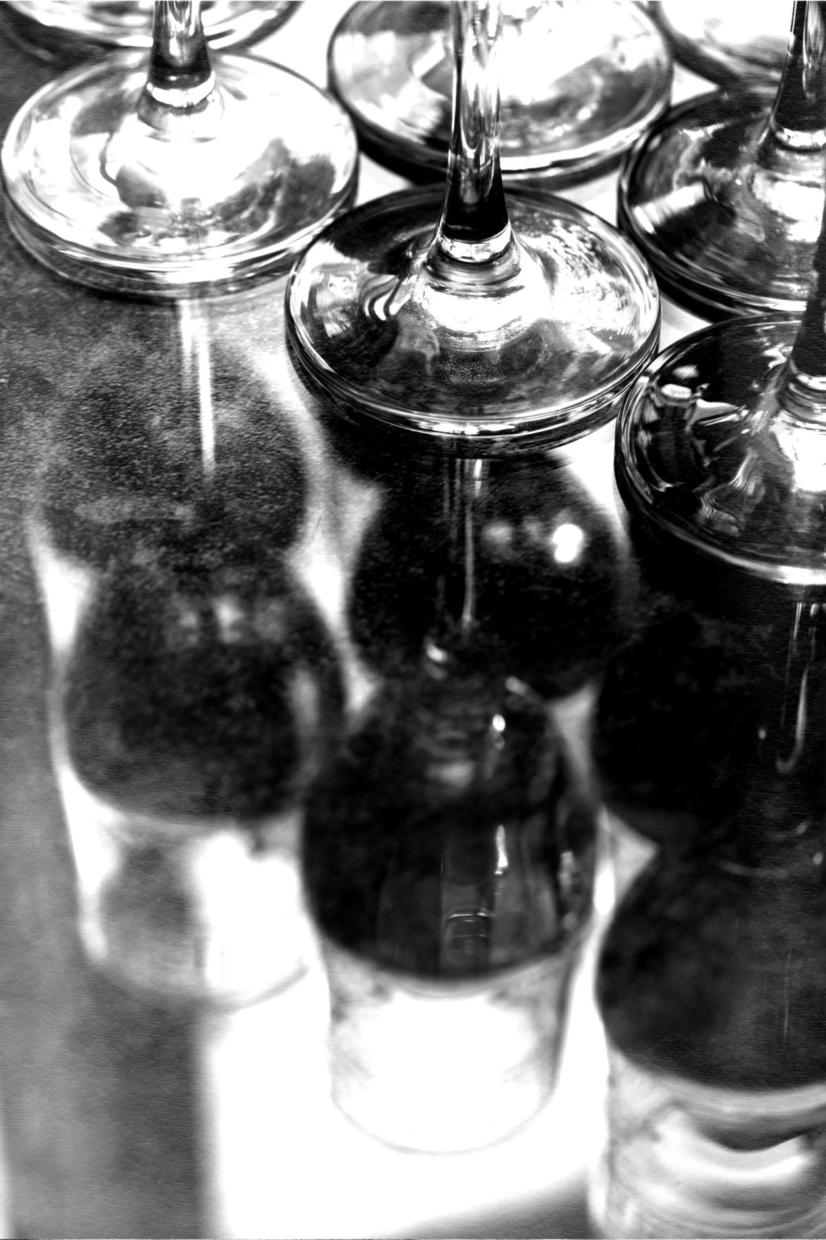 Wine Reflections