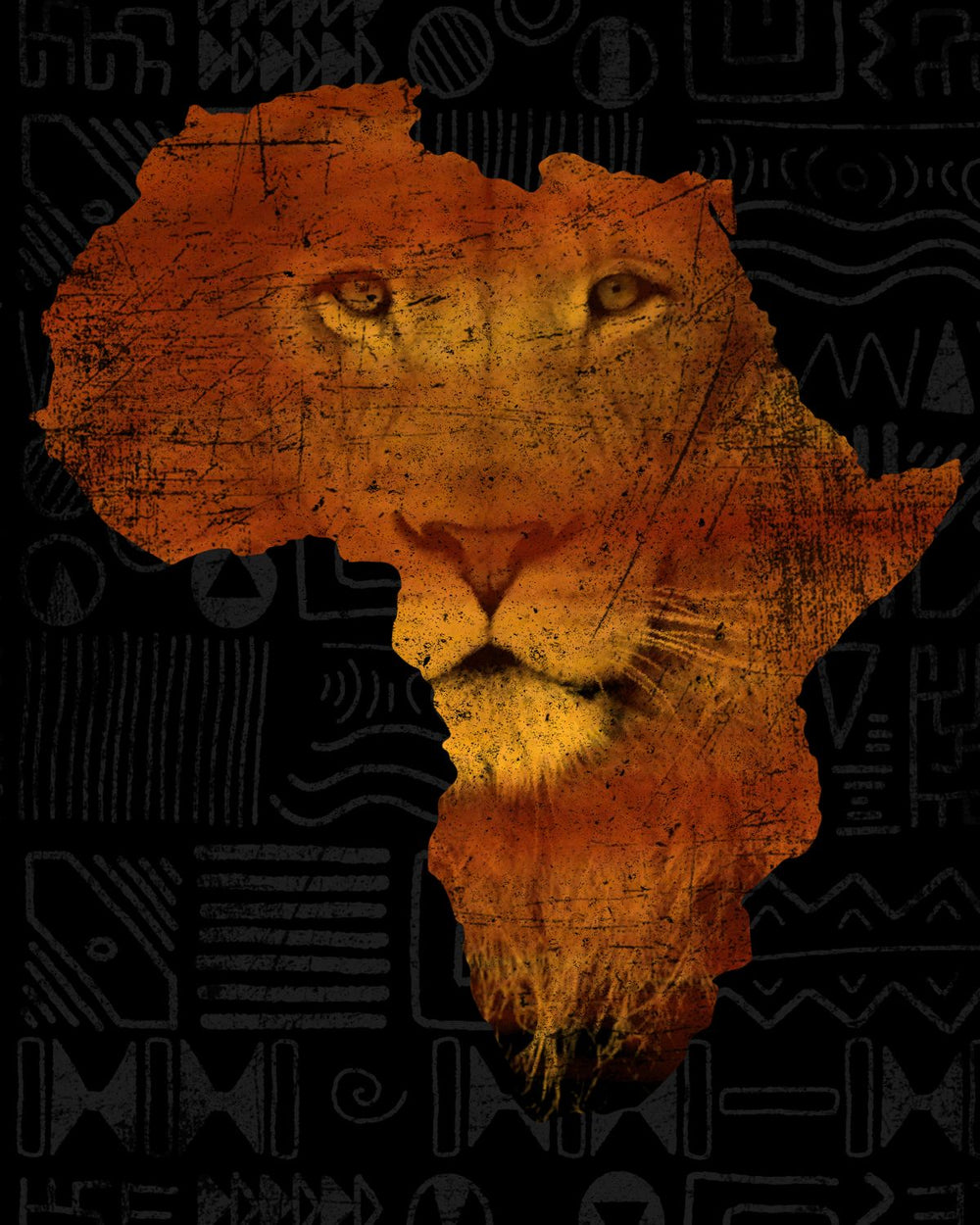 Lion African Continent