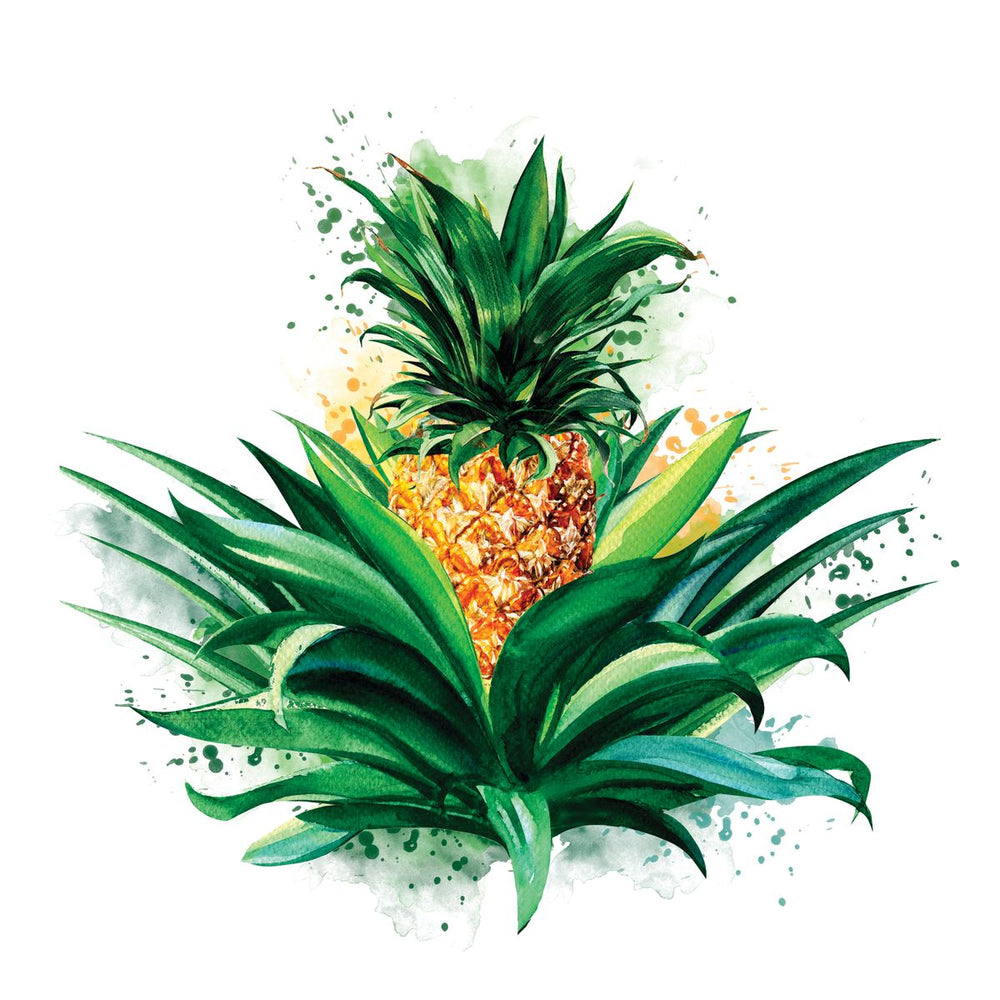Pineapple Plant Splash