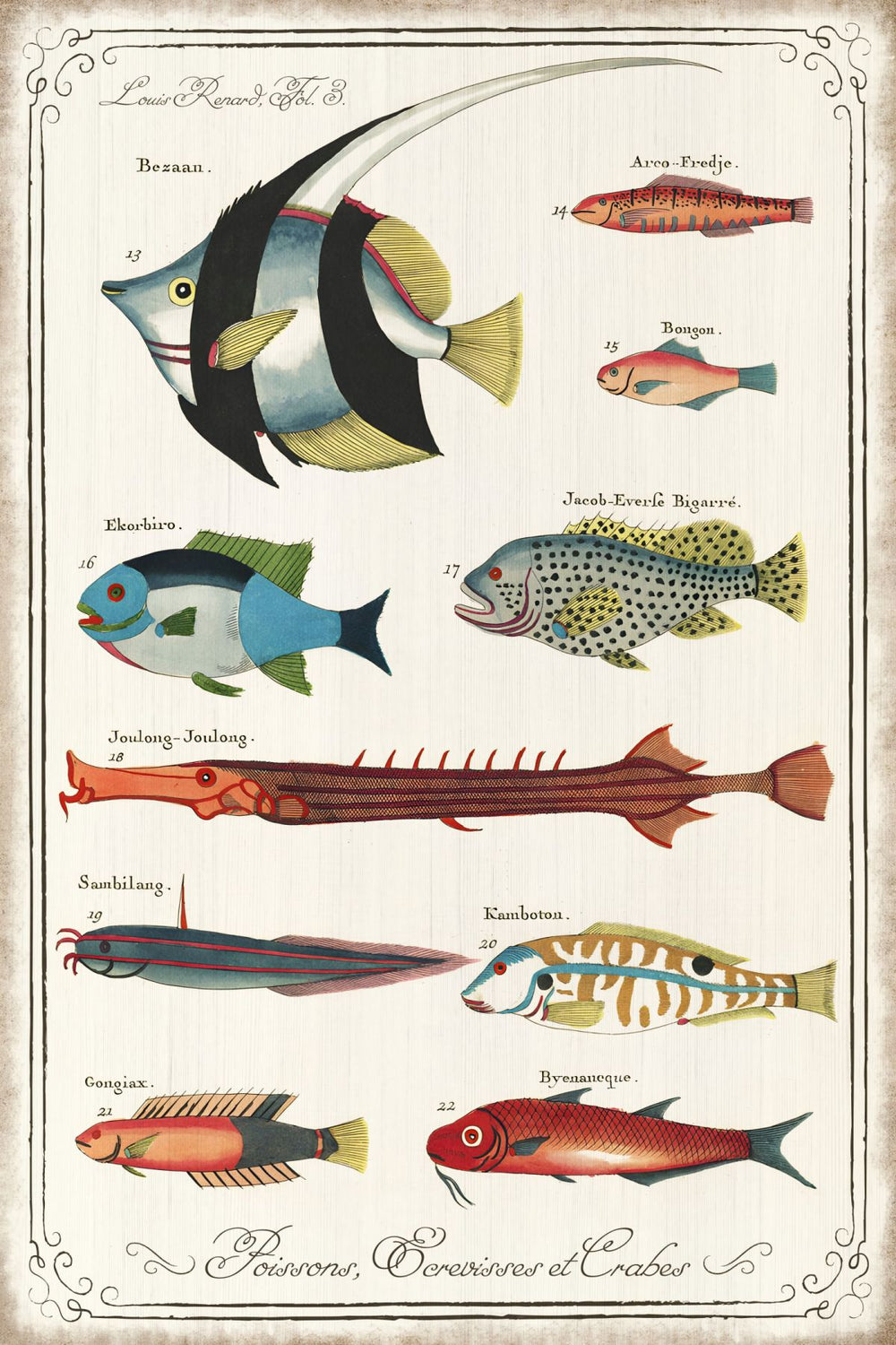 Psychedelic Fishes II