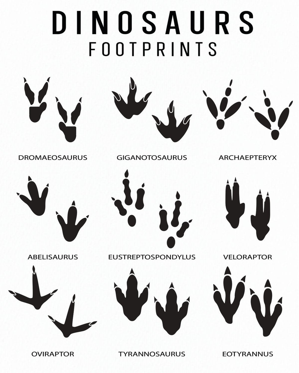 Dinosaur Footprints Chart Pineapple Licensing