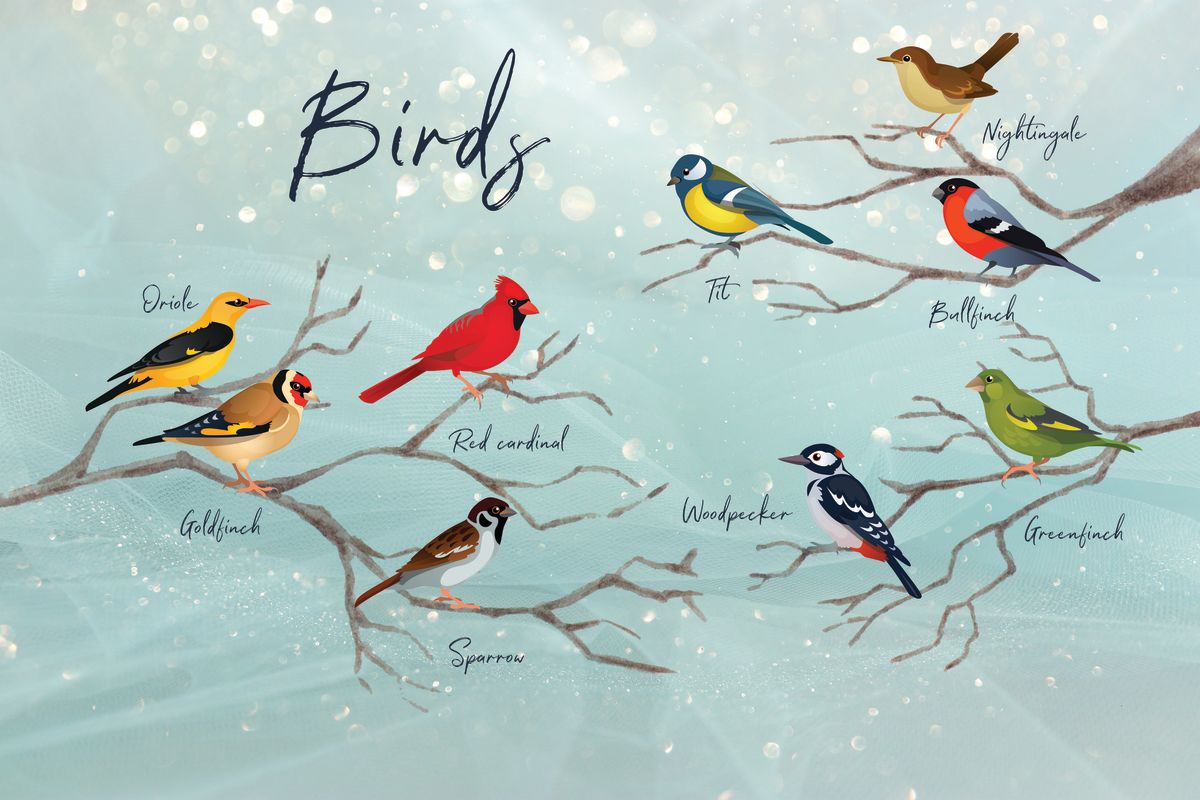 Birds Chart