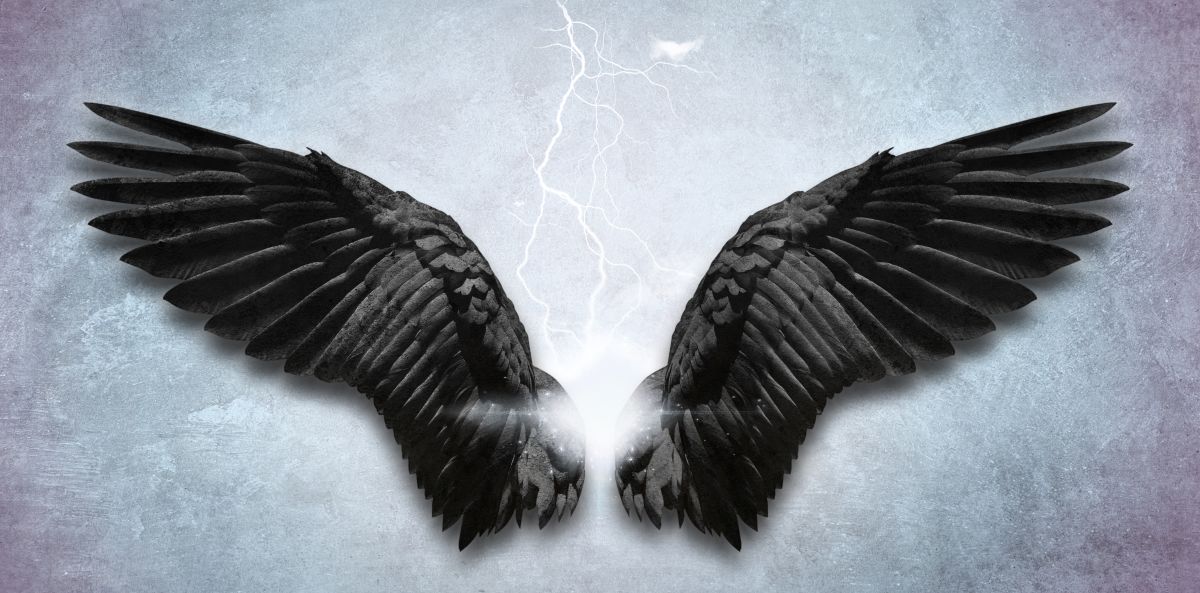 Ethereal Black Angel Wings