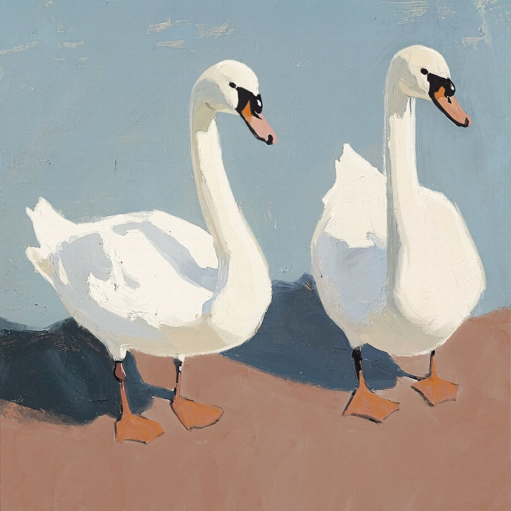 Couple Swans