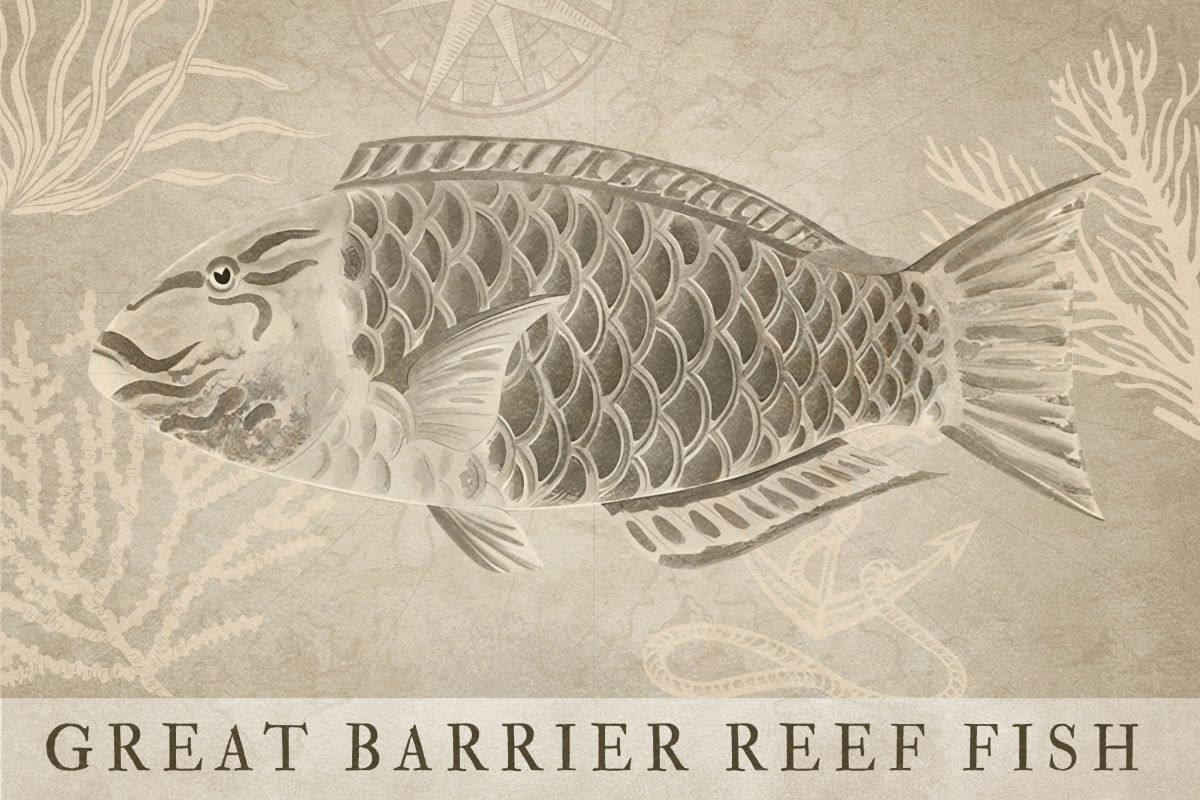 Great Barrier Reef Fish BW