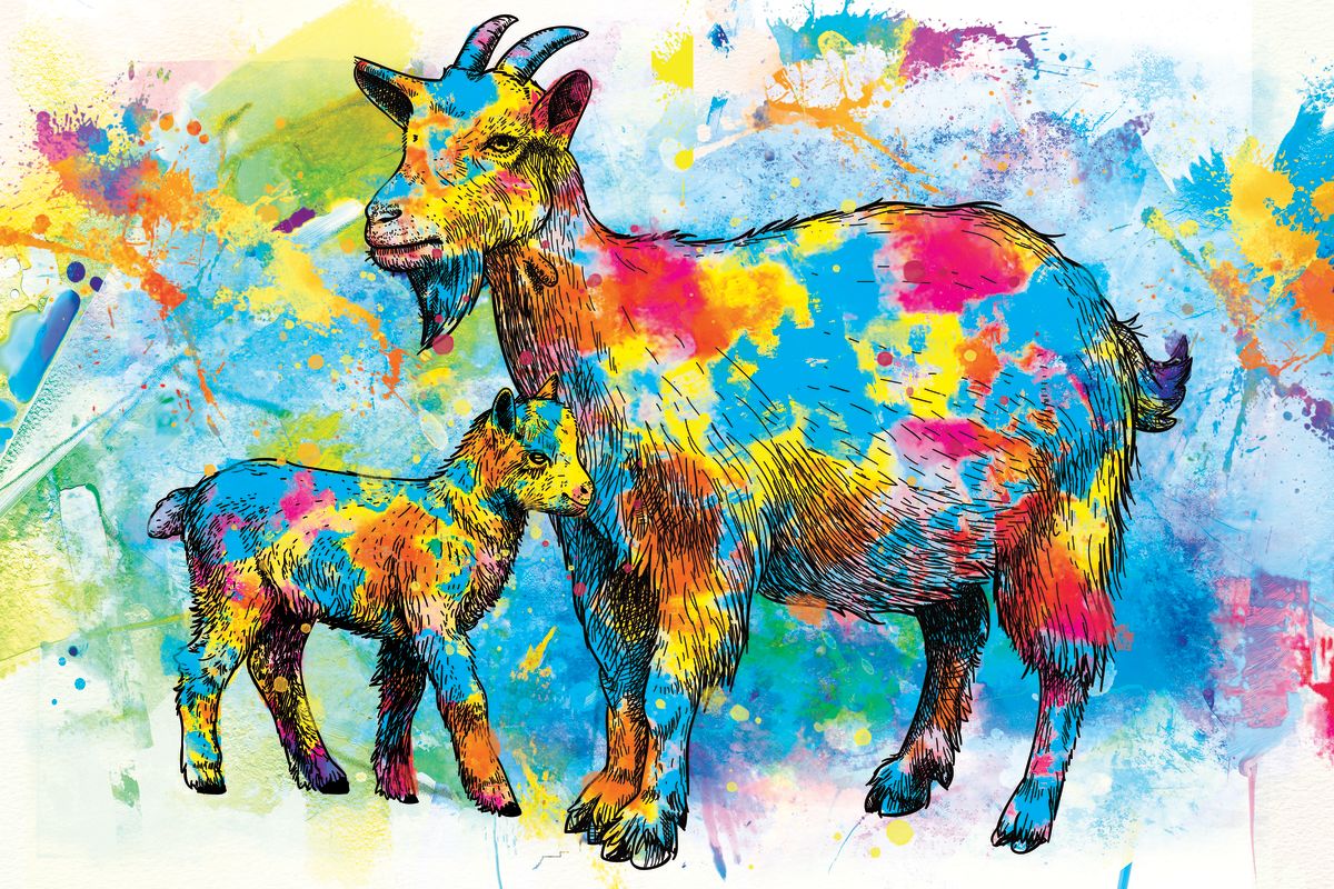 Goats Paint Splash