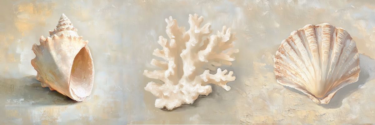 Shells By The Coast Wall Art