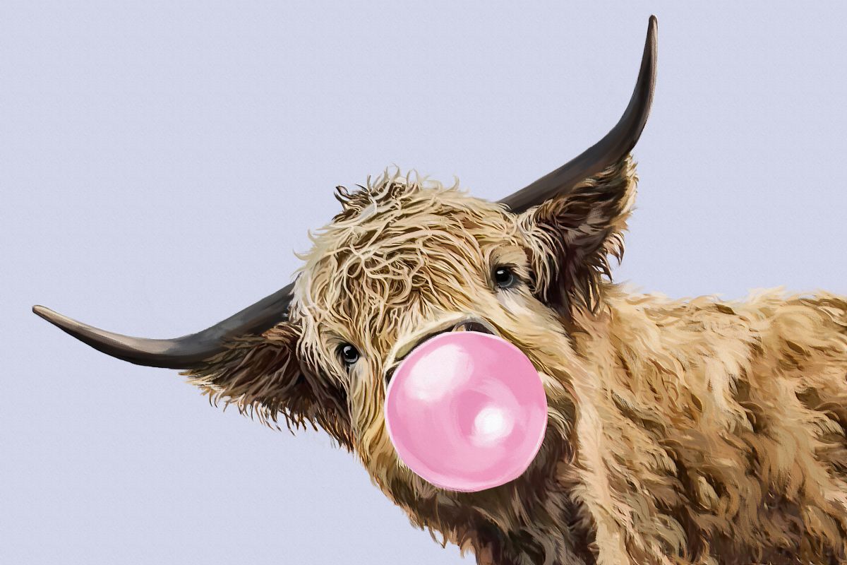 Bubble Gum Highland Cow