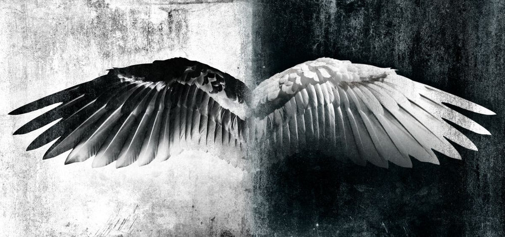 Black And White Angel Wings