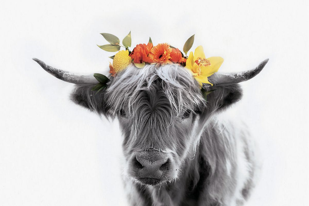Pop Flower Crown Cow