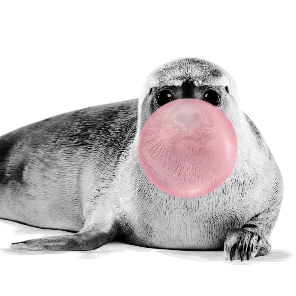 Bubble Gum Baby Seal