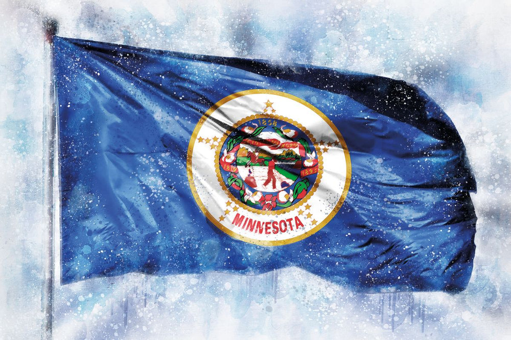 Minnesota State Flag