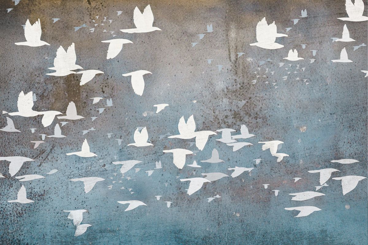 Flying White Birds I
