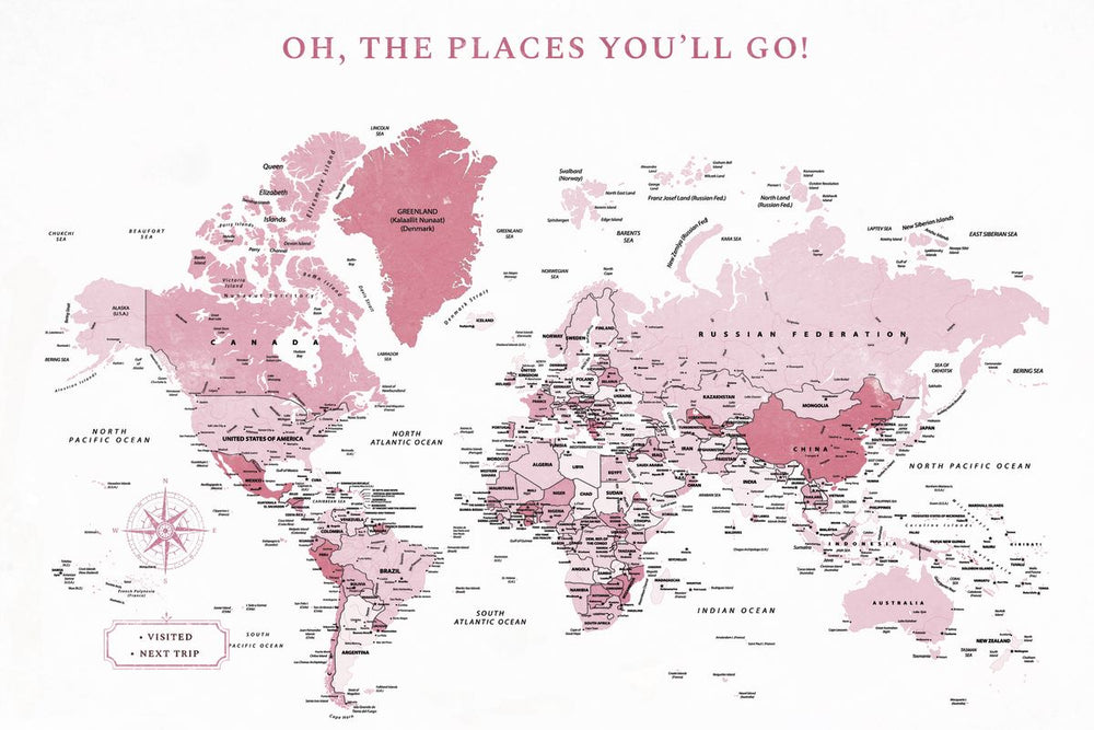 Places You'll Go Push Pin World Map