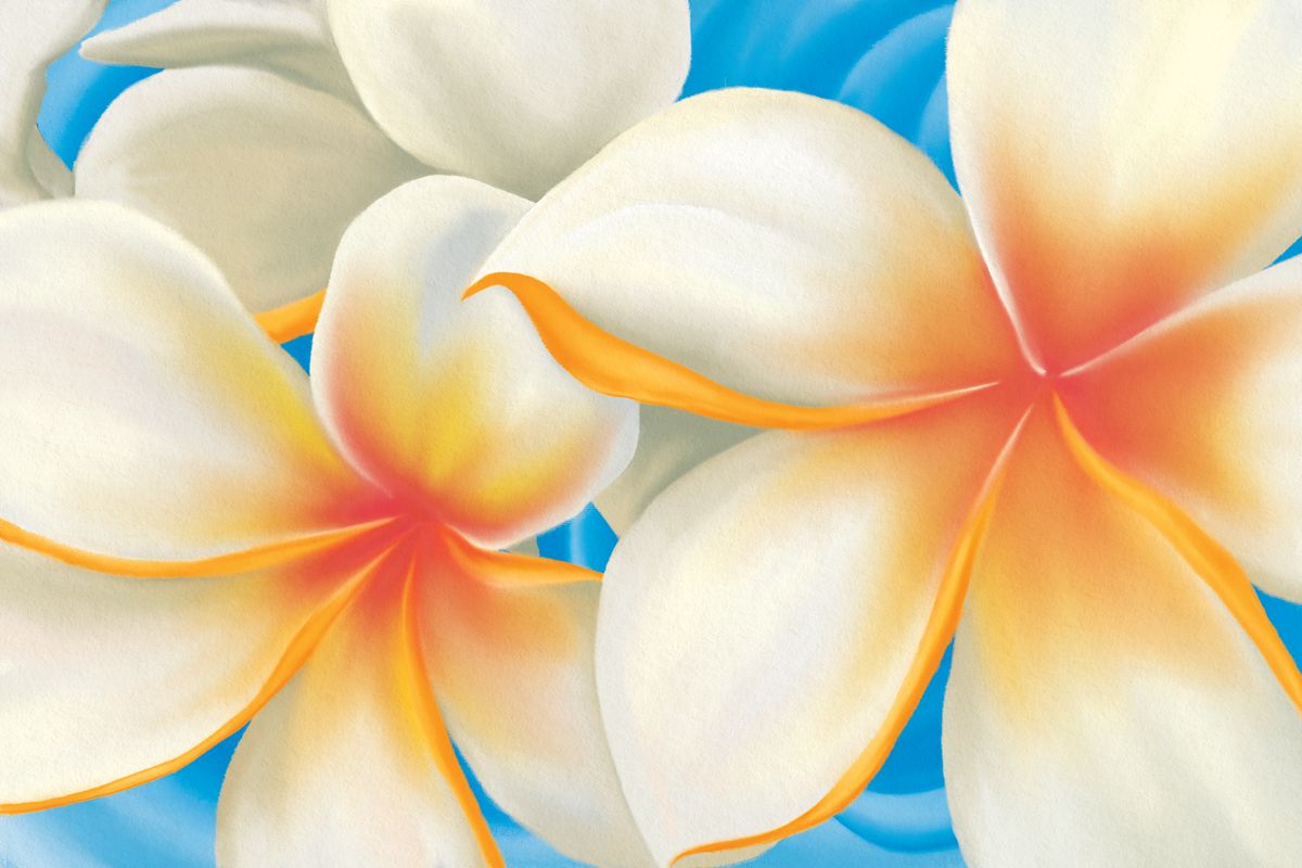 Plumeria Grandeur