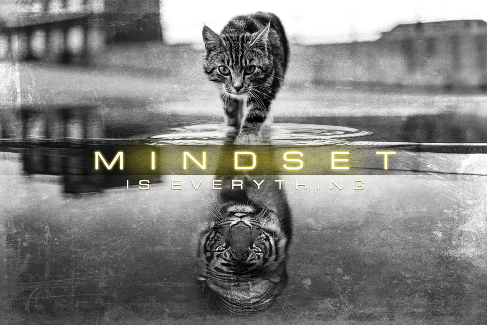 Mindset Is Everything Inspirational Quote