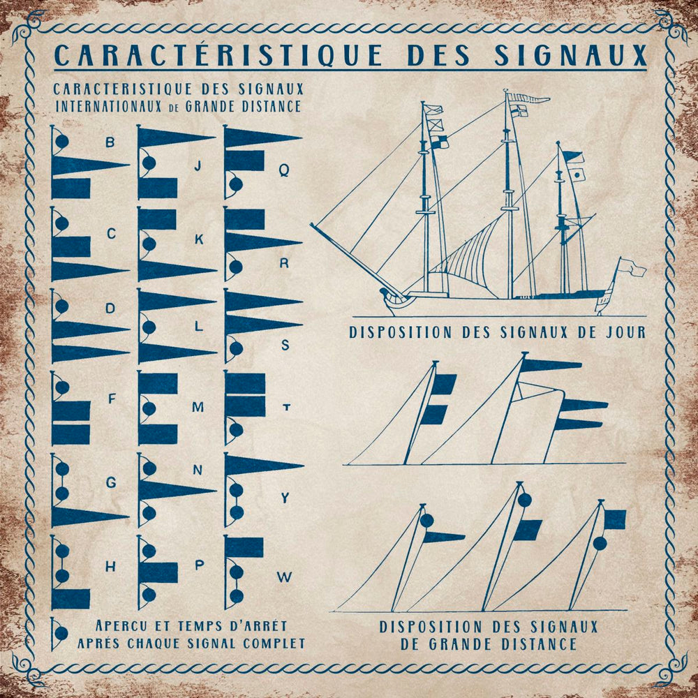 Characteristic Of The Signals