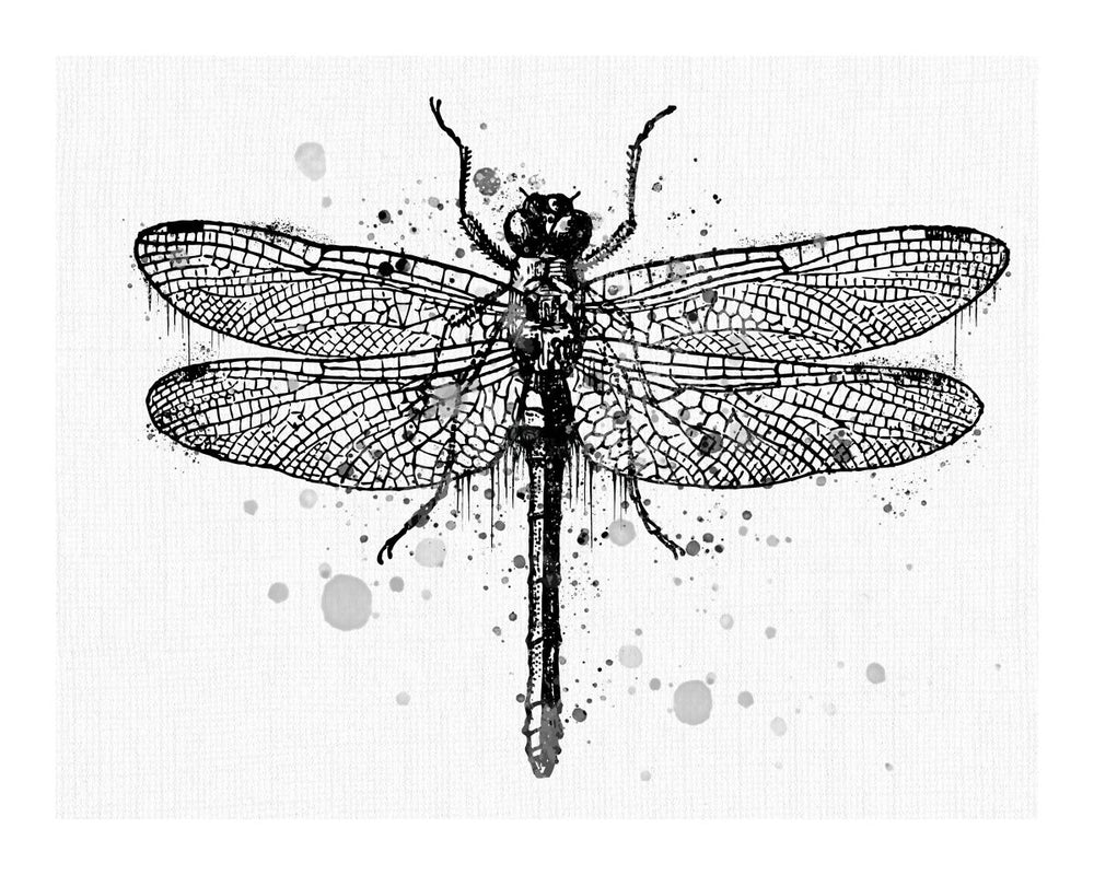 Dragonfly