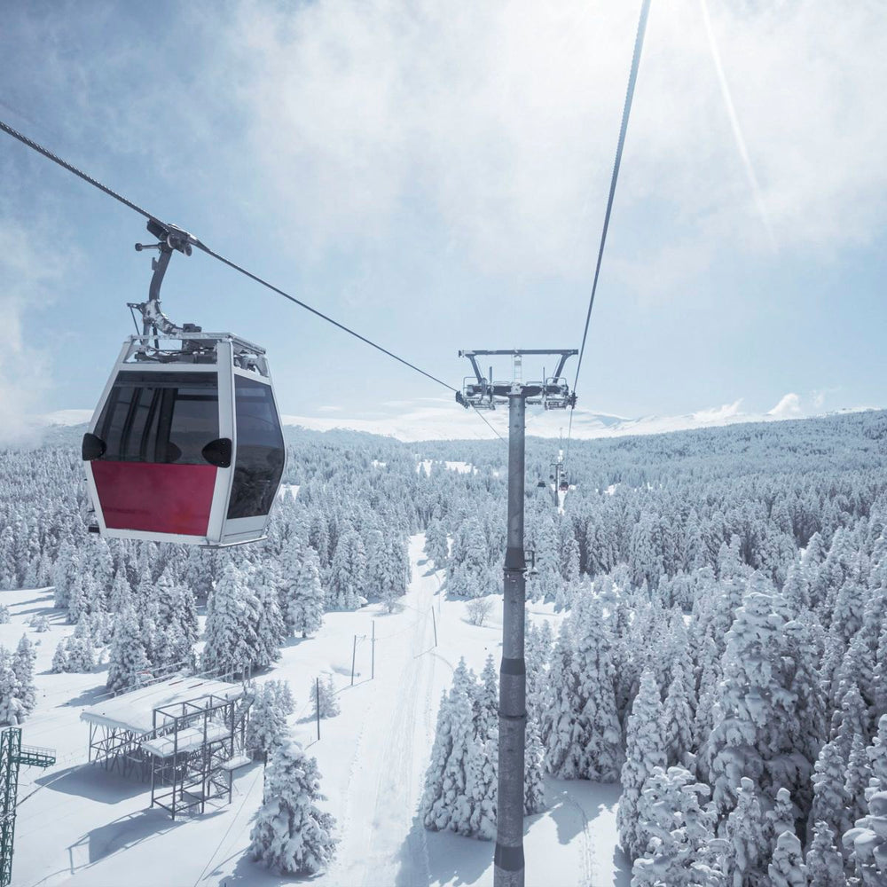Ski Resort View