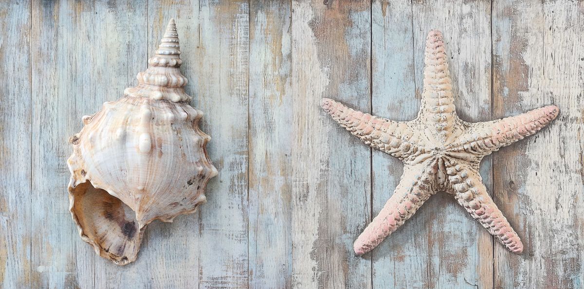 Two Shells Wood Style Wall Art
