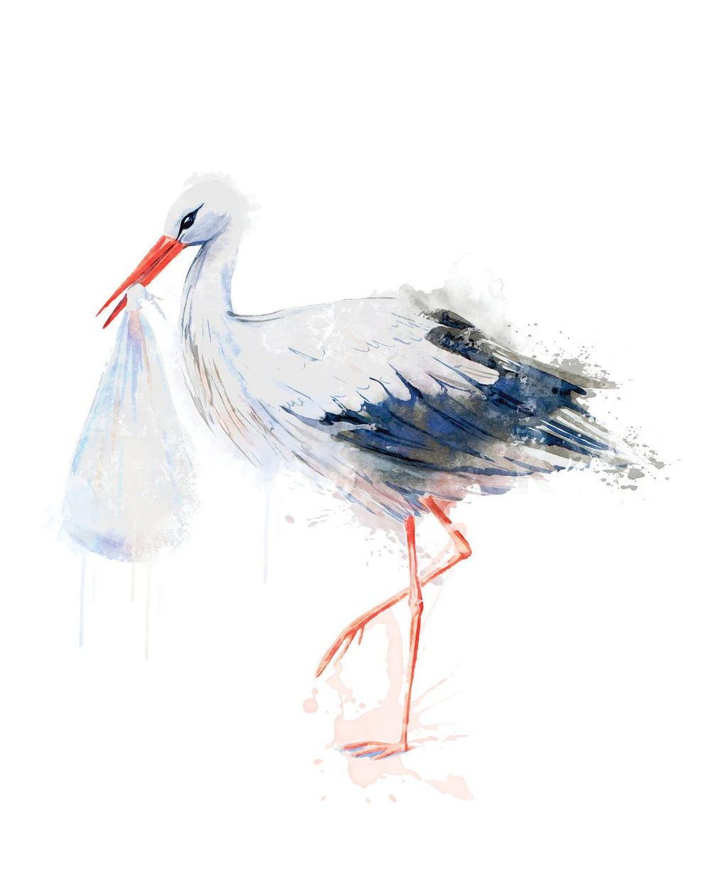 Stork Holding A Package