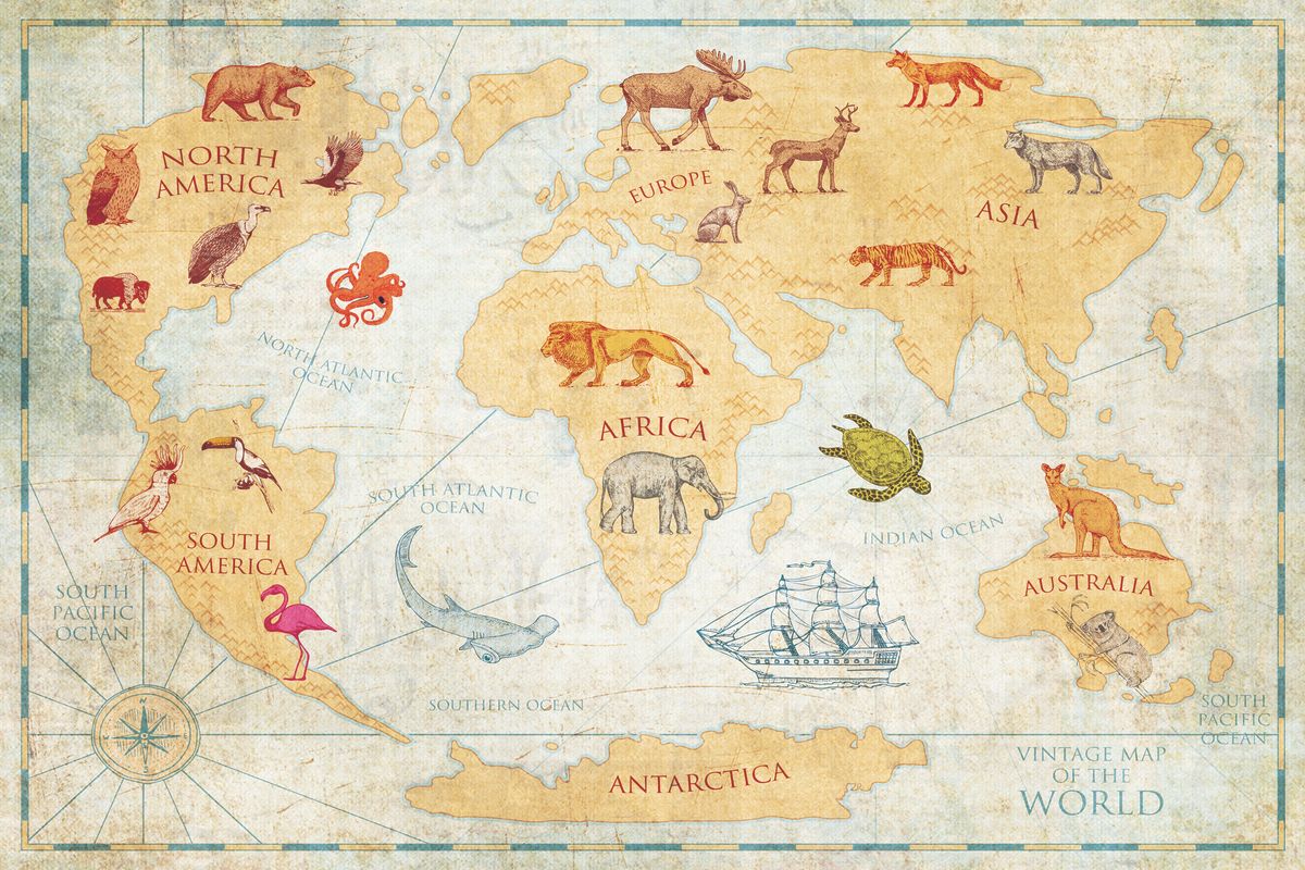 Animals Around The Globe