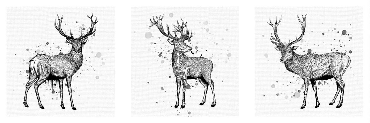 BW Elk