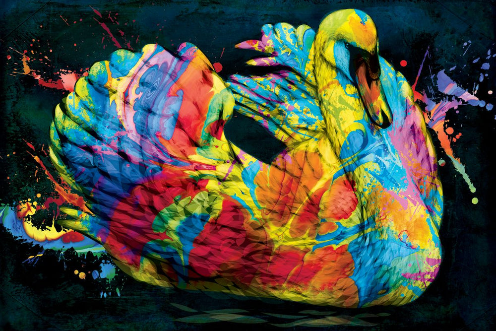 Swan In Colors