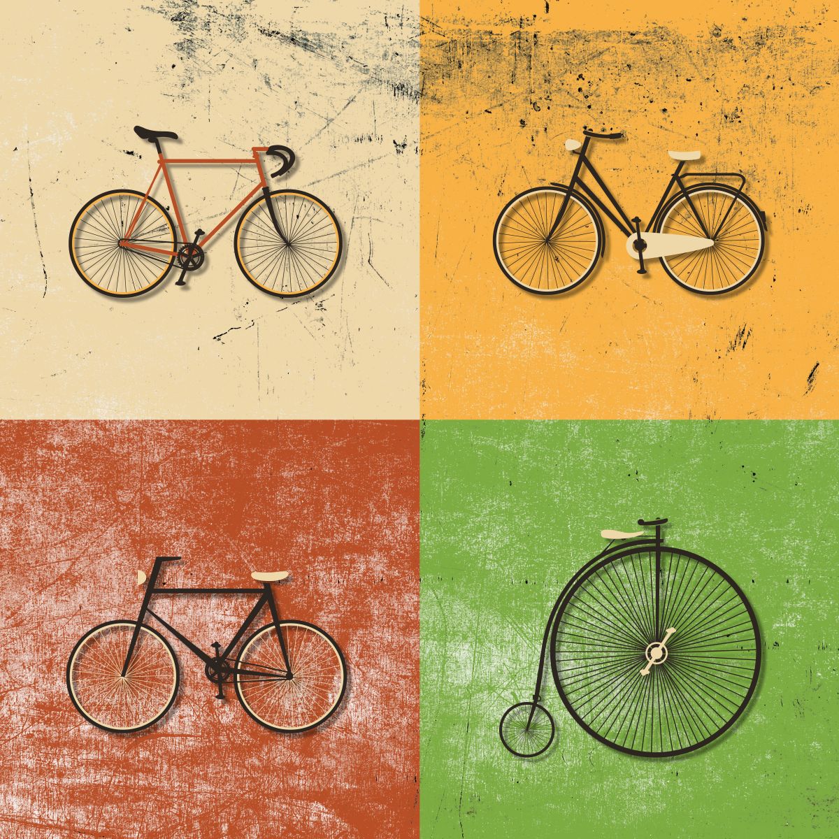 Bicycle Evolution
