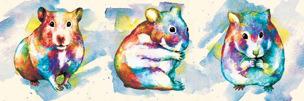 Hamsters Paint Splash