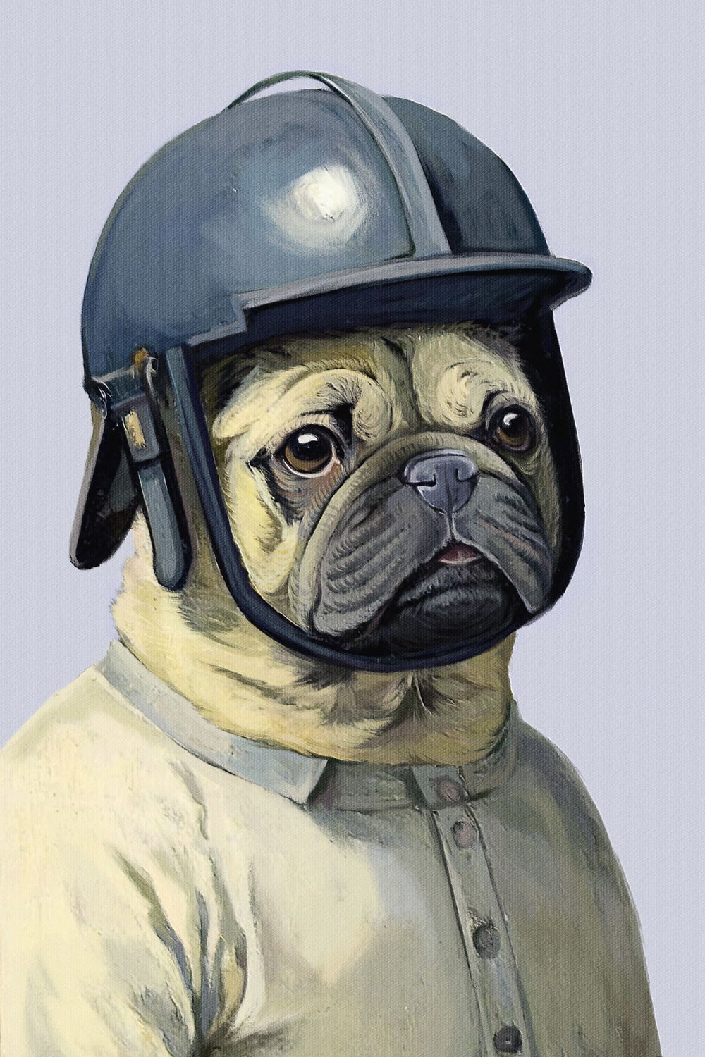Pug Wearing Helmet