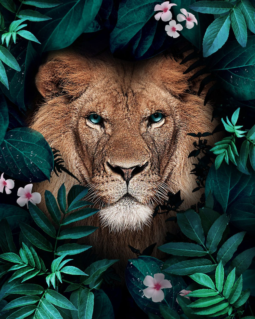 Tropical Jungle Lion