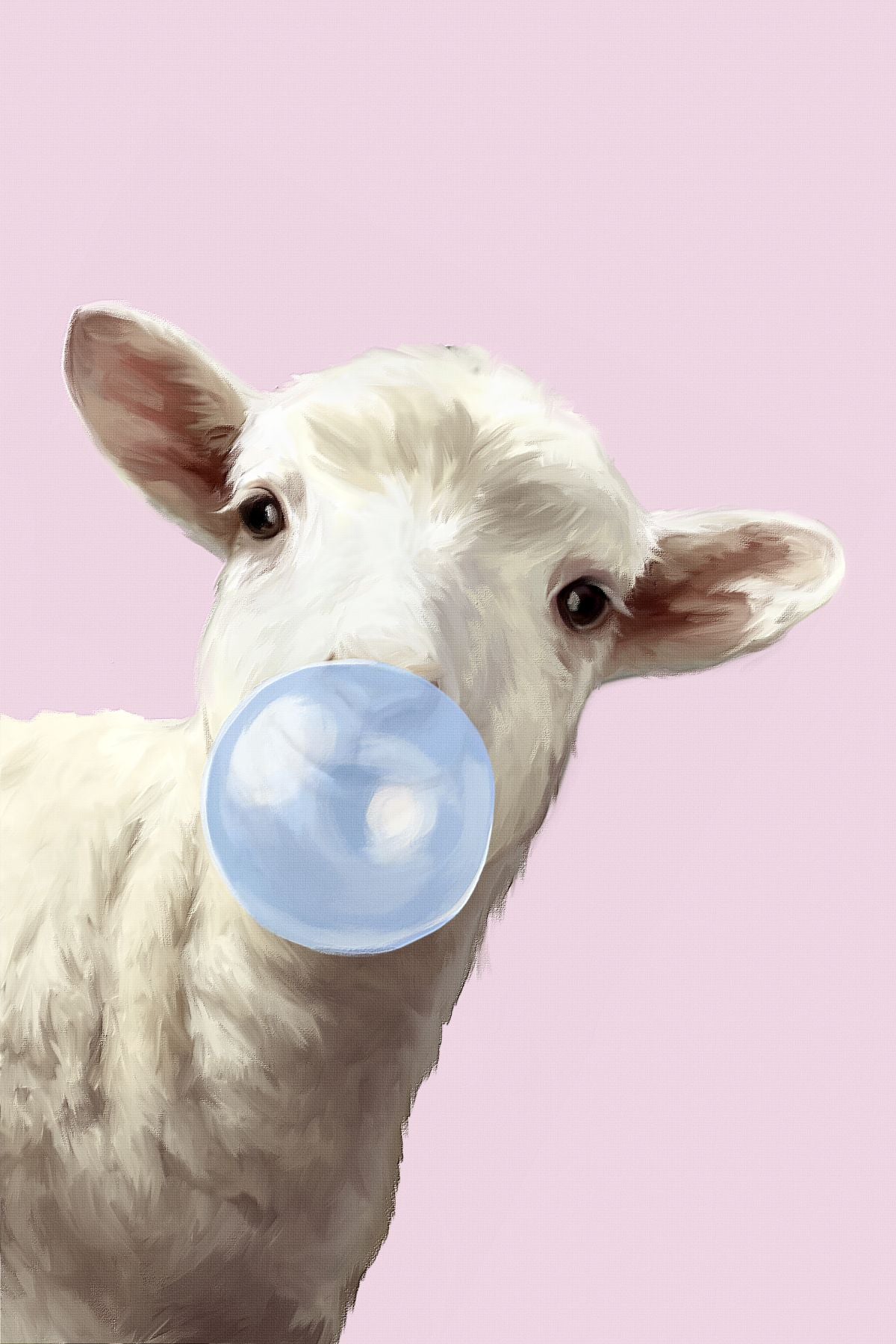 Lamb Bubble Gum