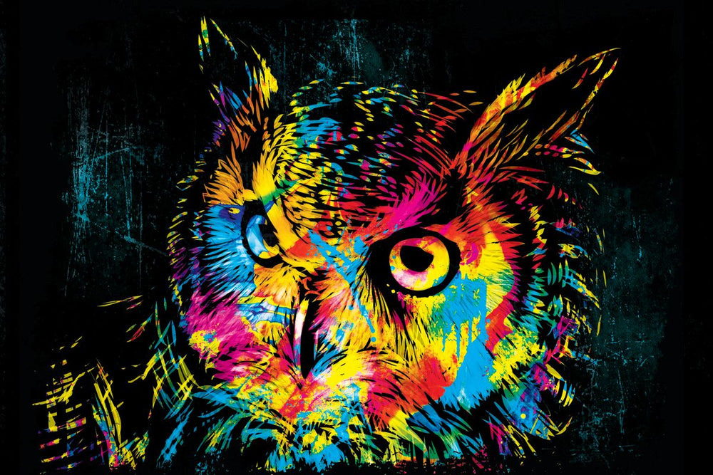 Owl Color Grunge