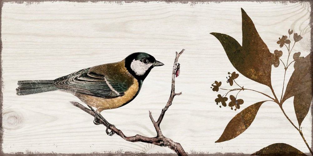 Perched Songbird