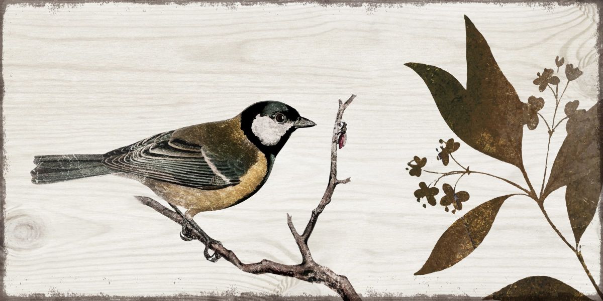 Perched Songbird