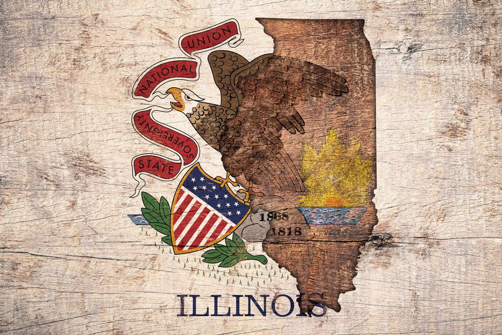 State Map Over Illinois Flag