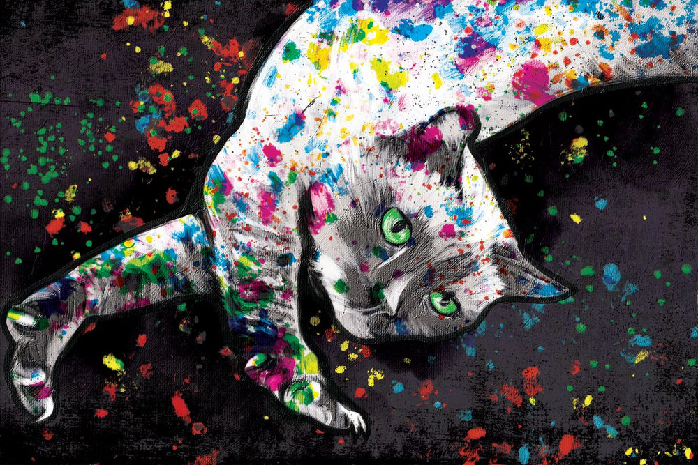 Siamese Cat Color Splash Paint