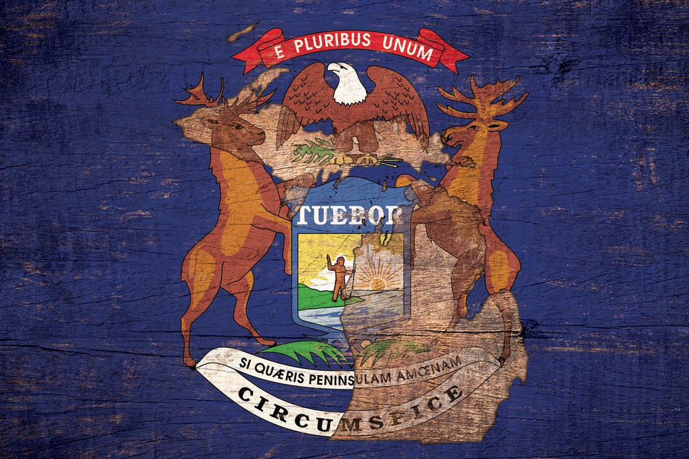 State Map Over Michigan Flag