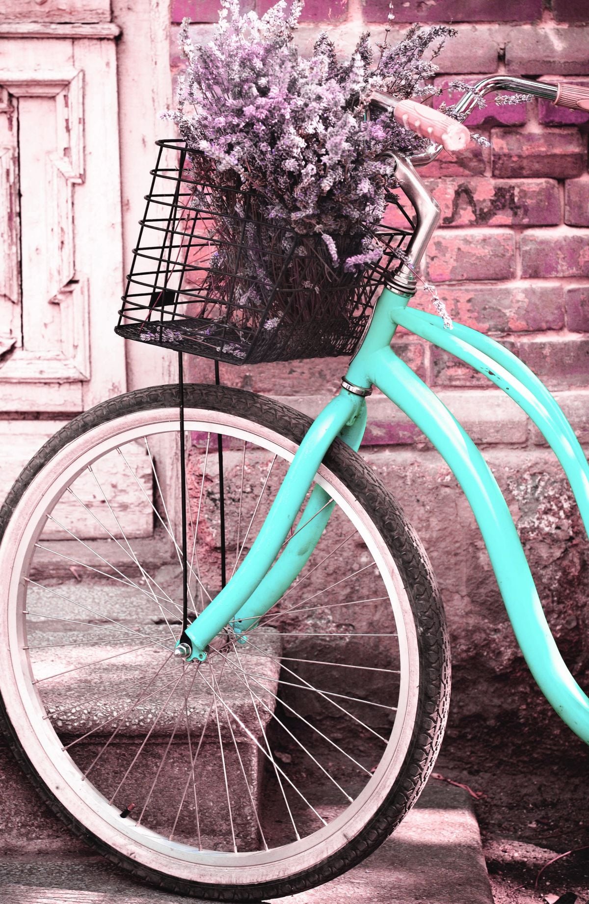 Lavender Basket Vintage Bicycle
