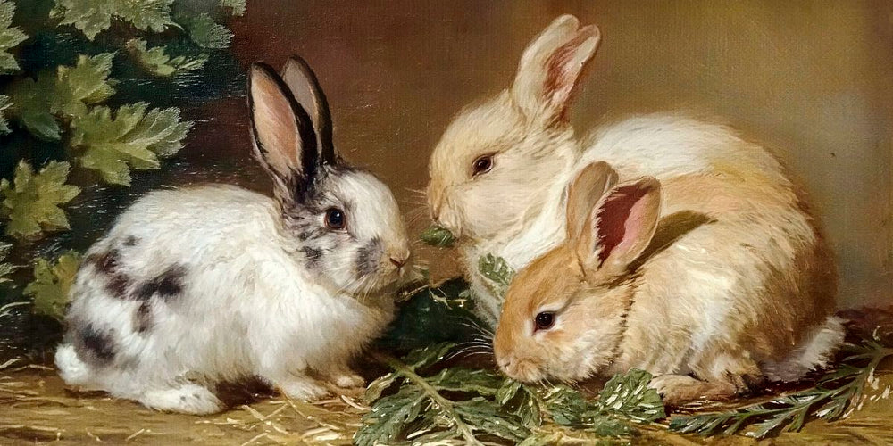 Three Rabbits with Greens
