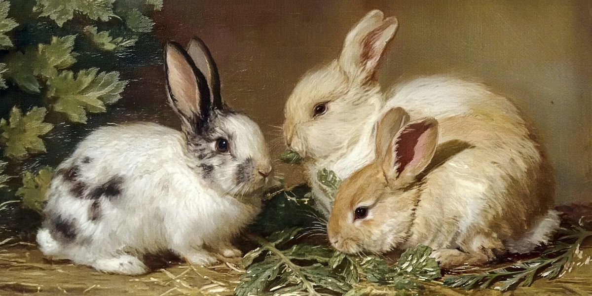 Three Rabbits with Greens